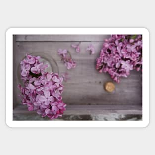 Fragrant purple Lilacs in a vase. Sticker